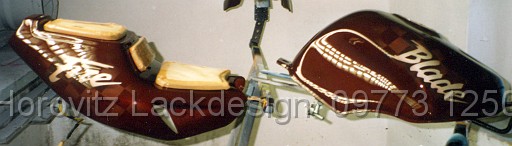 BikeHorovitz (103).bmp