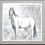 Pferde-Englische Vollblut269