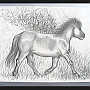 Pferde-Trabende Pony268